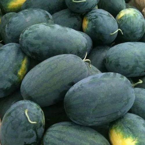 51抖音吃瓜黑料