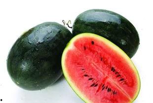 黑瓜吃料历史回顾大全,精彩瞬间与经典战役盘点