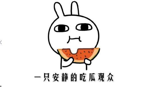 抖音黑料爆料在线吃瓜,在线吃瓜，揭秘网红背后的真相