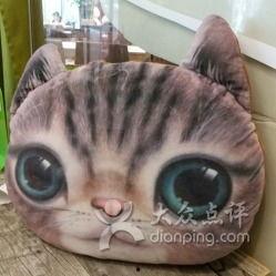 51吃瓜黑料胖猫,揭秘胖猫背后的故事